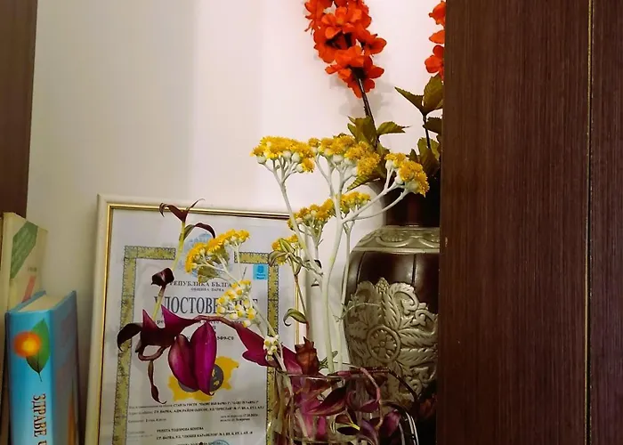 оазис 1 във * Warna