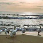оазис 1 във