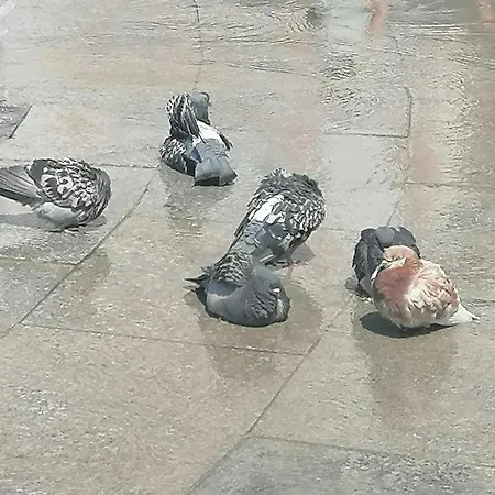 оазис 1 във Апартаменты Варна