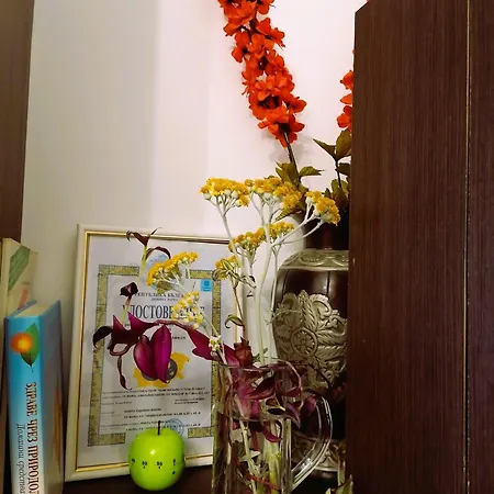 оазис 1 във * Varna